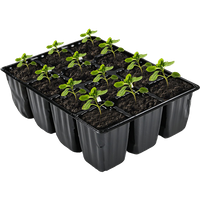 //jnrorwxhrpprlq5p-static.micyjz.com/cloud/lnBpmKpklqSRmkkinkkojp/Agriculture-Blister-Packaging.png
